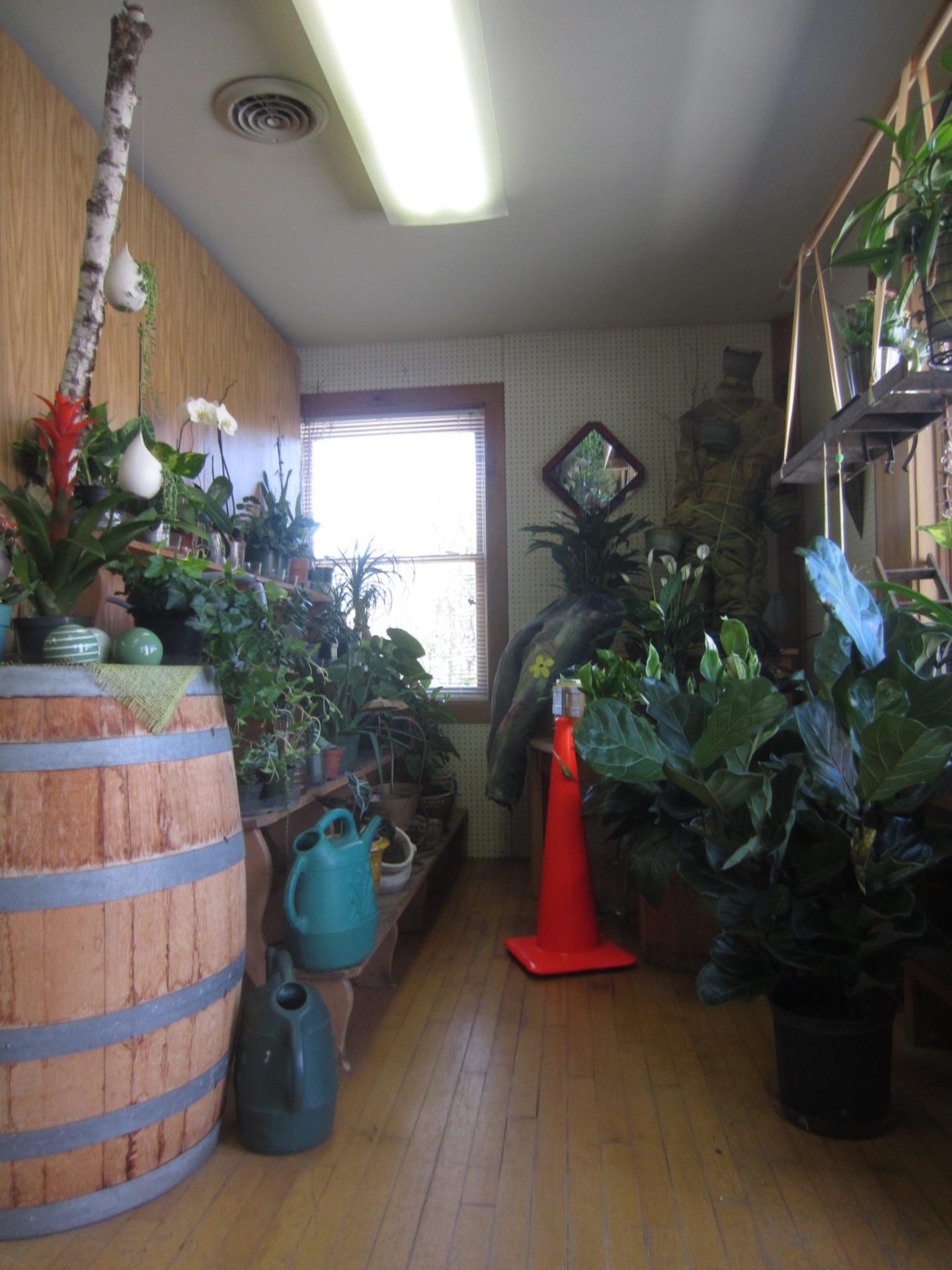 Uncle George's Flowers