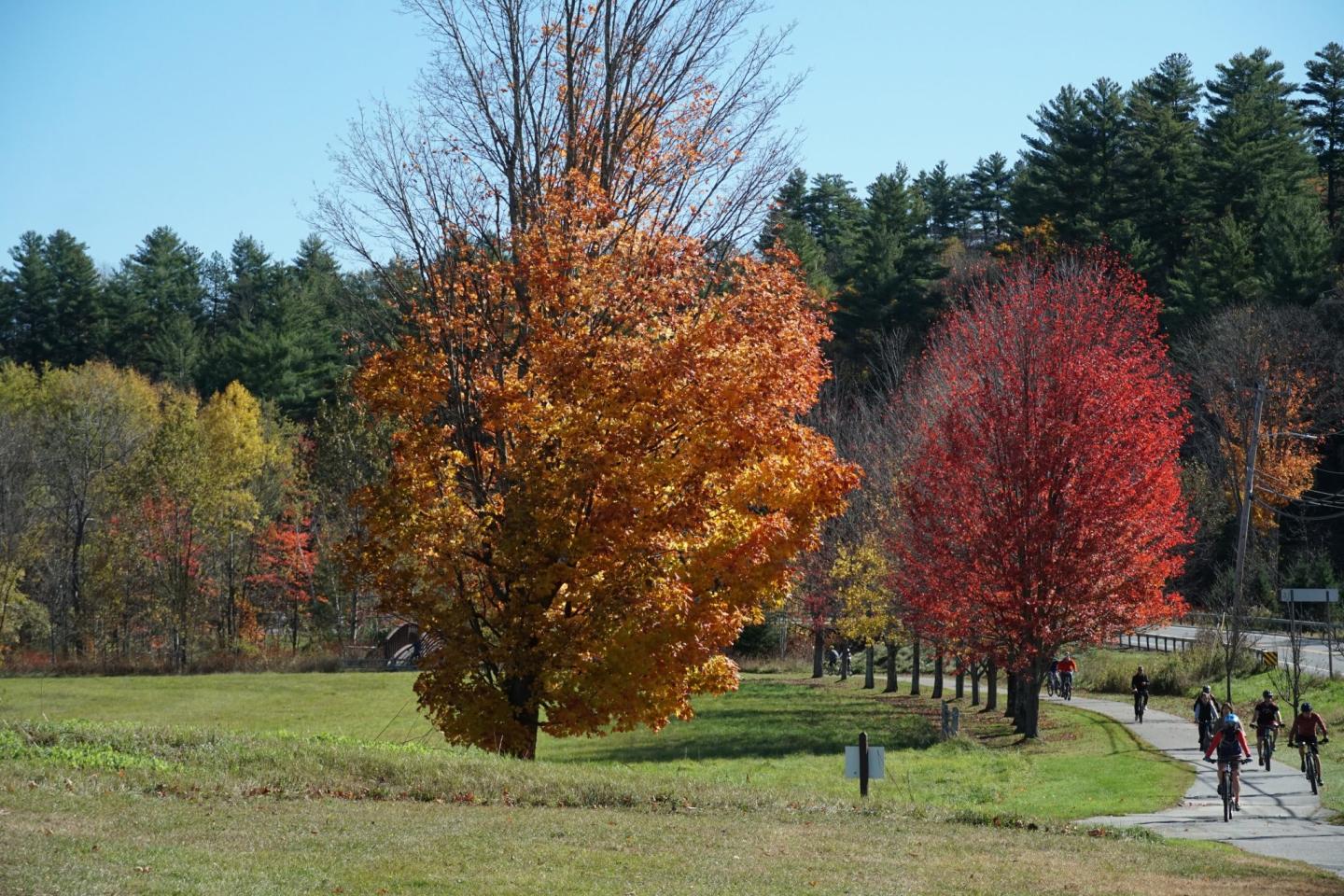 Stowe Recreation Path