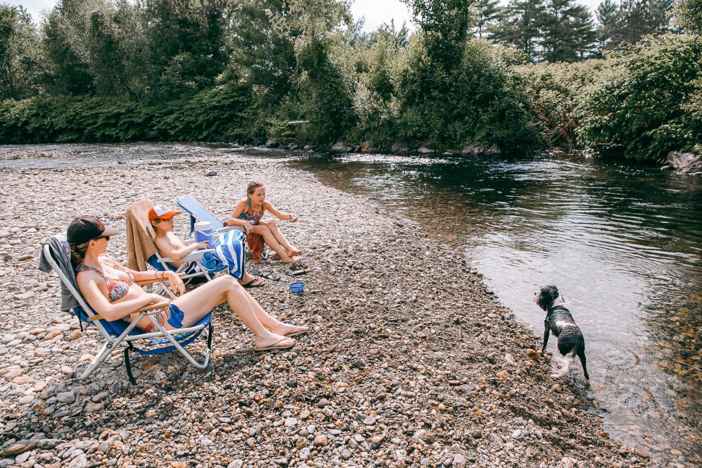 Three people relax on a pebbly riverbank, with a dog playing by the water.