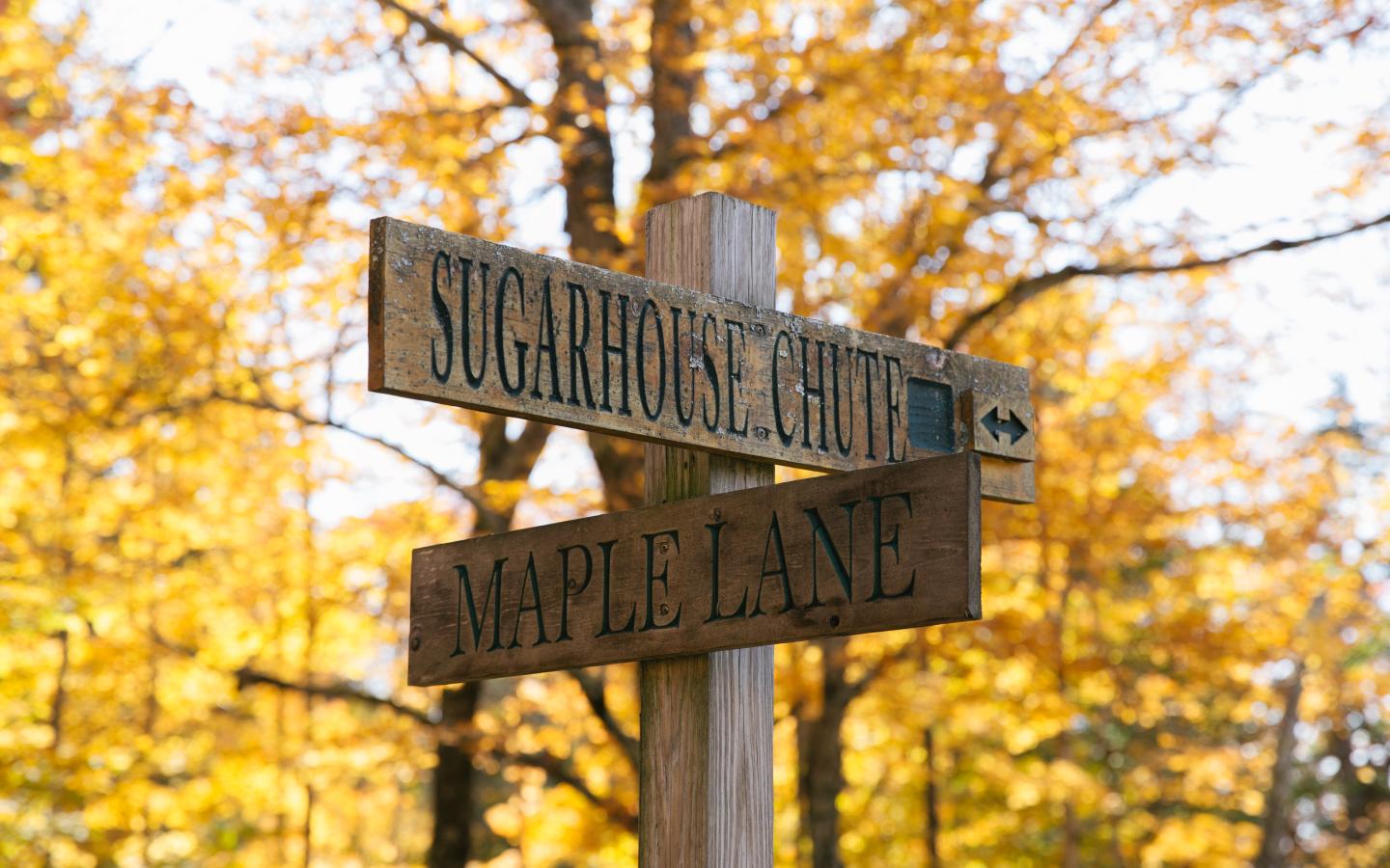 Wooden signpost with "Sugahouse Lane" and "Maple Lane," surrounded by autumn trees.