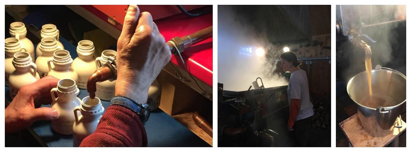 Nebraska Knoll Sugar Farm