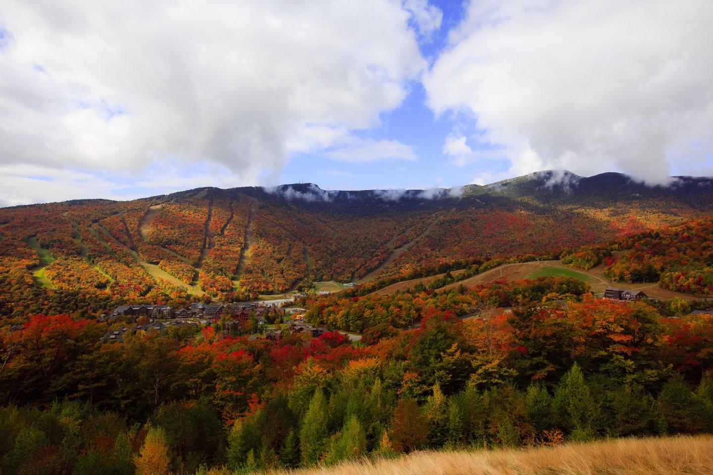 Colorful autumn hillside with mountains under a cloudy blue sky.